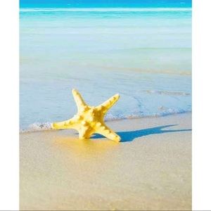 Meet your Posher, Evelyn